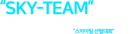크루팩토리 스카이팀