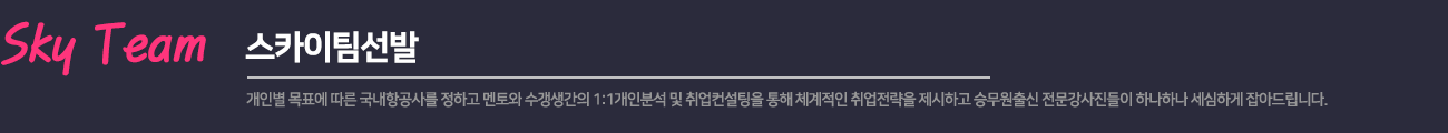 크루팩토리 스카이팀